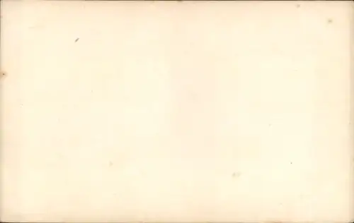 Ak Frauenakt auf einem Sessel, Rosen