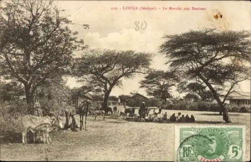 Ak Louga Senegal, Markt mit Vieh, Menschen, Bäume, Senegal, Louga