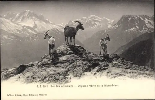 Ak Chamonix Mont Blanc Haute Savoie, Sur les sommets, Aiguille Verte