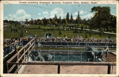 PC Boston, Massachusetts, USA, Crowd, watching Elephants Bathing, Franklin Park