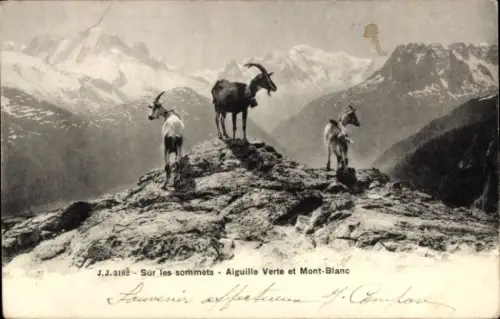 Ak Chamonix Mont Blanc Haute Savoie, Sur les sommets, Aiguille Verte
