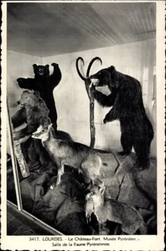 Ak Lourdes Hautes Pyrénées,  Das Schloss, Pyrenäenmuseum, Raum für Pyrenäenfauna