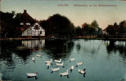 Ak Ohligs Solingen Bergisches Land, Mühlenteich, Schwanenmühle, Enten im Wasser, ländliche Umgebu