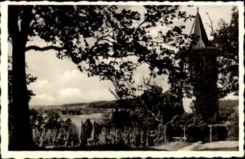 Ak Insel Mainau im Bodensee, Schwedenturm, Insel Mainau, Bodensee, Schwarz-Weiß-Foto