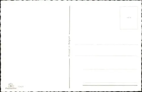 Ak Kitten im Korb, Portrait