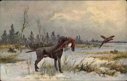 Künstler Ak Jagdhund mit Beute, Winter