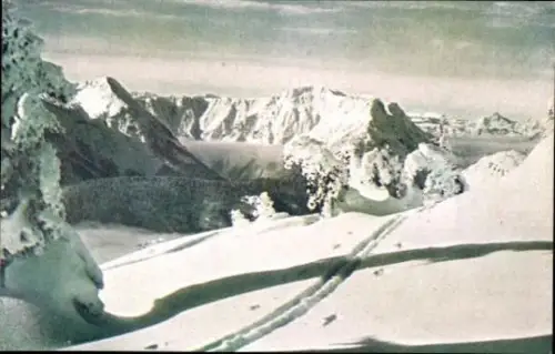 20 AK komplette Serie, verschiedene Ansichten aus Österreich