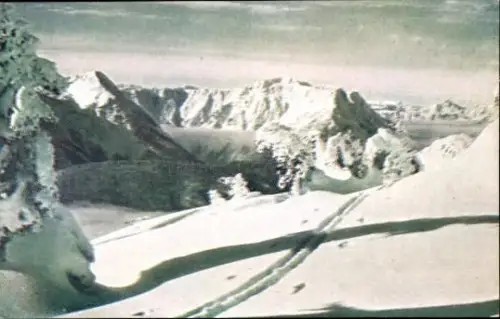 20 AK, Österreich verschiedene Ansichten