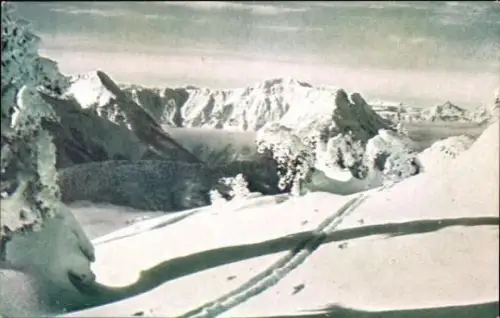 20 AK Österreich verschiedene Ansichten