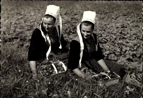 Ak Plougastel Daoulas Finistère, Jeunes Filles en costume de Plougastel dans un champ de fraises