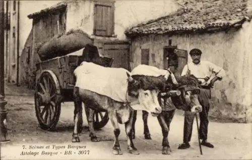 CPA Scènes et Types Basques, Attelage Basque