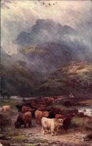 Künstler Ak Across a Highland River, Hochlandrinder