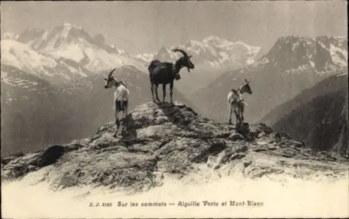 Ak Chamonix Mont Blanc Haute Savoie, Sur les sommets, Aiguille Verte