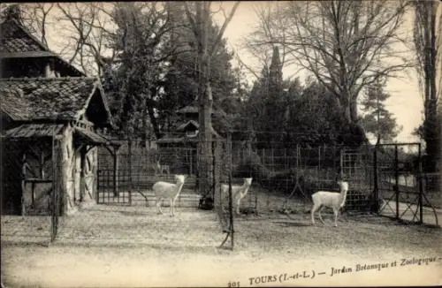 Ak Tours Indre et Loire, Jardin Botanique et Zoologique, Rehe