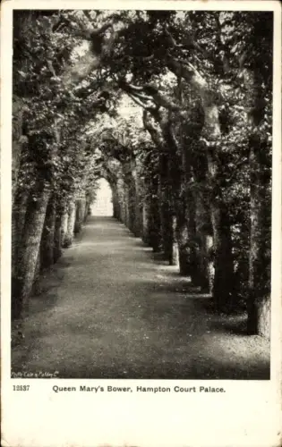 Ak Hampton Richmond upon Thames London England, Allee mit Bäumen, Queen Mary's Bower, Hampton Cou