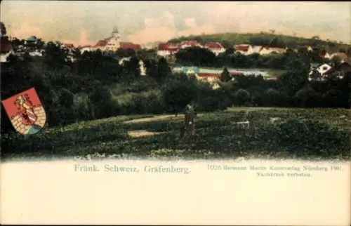 Ak Gräfenberg in Oberfranken, Gesamtansicht, Wappen