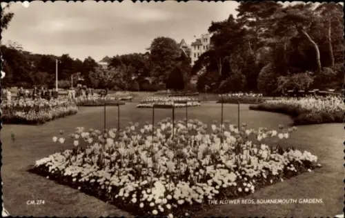 Ak Bournemouth Dorset England, Blumenbeete, Bournemouth Gardens, Blumen, Bäume, Parklandschaft