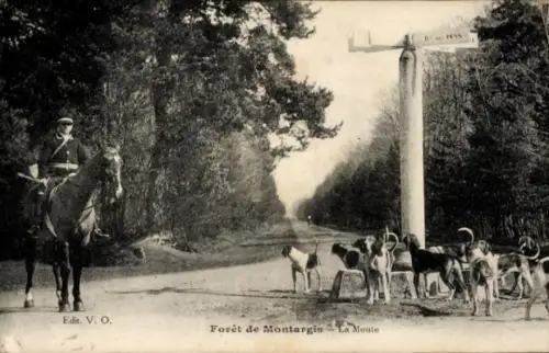 Ak Montargis Loiret, Wald von Montargin, Jagd, Hundemeute