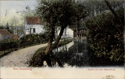 Ak Bad Godesberg Bonn am Rhein, Partie aus dem Marienforst