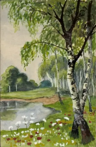 Ak Birken am See, Wiese