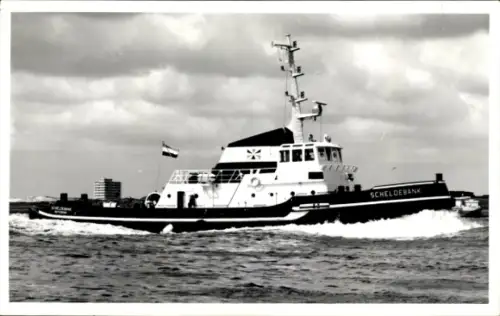 Foto Ak Schiff, Schlepper Scheldebank