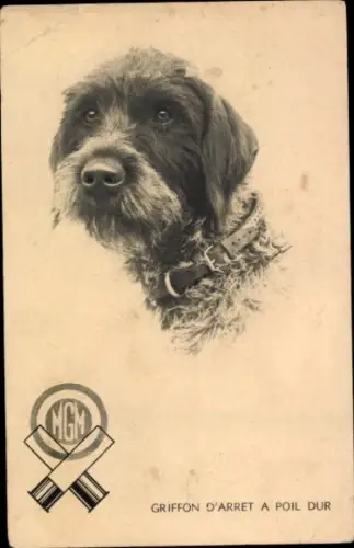 Ak Hundeportrait
