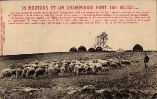 Ak Hirte mit Schafherde