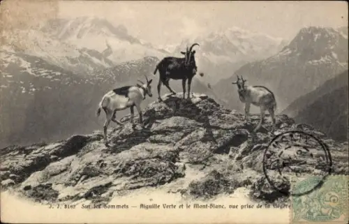 Ak Ziegen auf dem Gipfel, Aiguille Vert, Mont Blanc