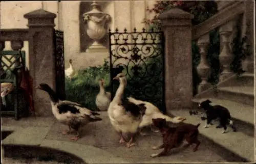 Künstler Ak Gänse an Treppe, Hunde