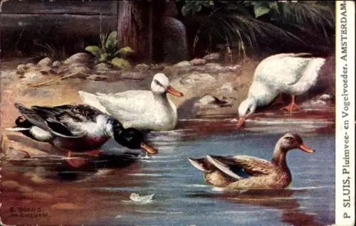 Künstler Ak Dorno, P. Werbung, Badeofen-Fabrik, Remscheid, Joh. Vaillant, Enten