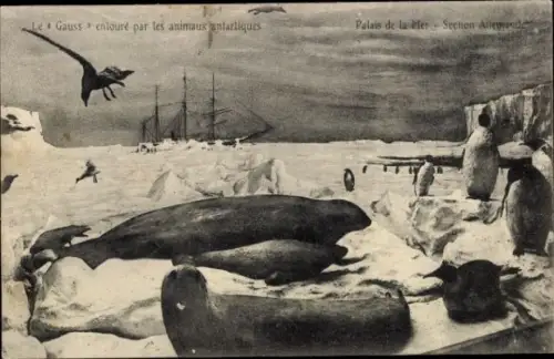 Ak Le Gauss entouré par les animaux antarchtiques, Palais de la Mer, Section Allemande, Schiff