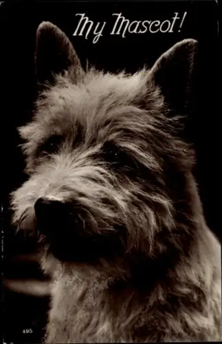 Ak Terrier, Mein Maskottchen