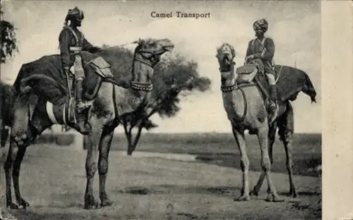 PC Camel Transport