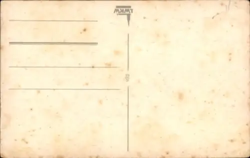Ak Krampus, Teufel, Rute