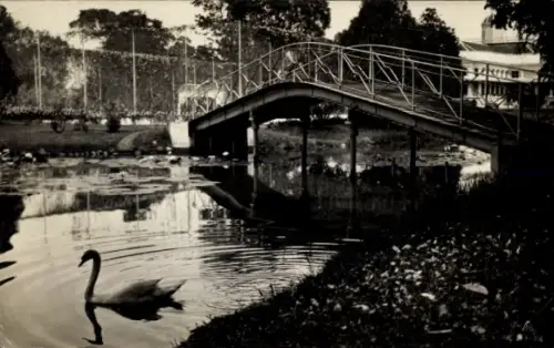 Foto Ak Jakarta Indonesien, Brückenpartie, Schwan