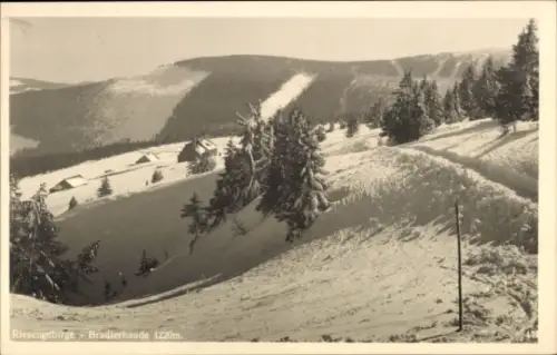 Ak Riesengebirge Region Königgrätz, Bílé Labe, Weiße Elbe, Weißwasser, Weißwassergrund,  Bradlerb