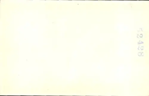 Ak Portrait zweier Kitten