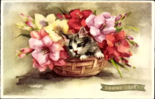Ak Kitten im Blumenkorb