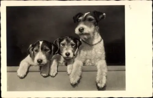Foto Ak Terrier mit zwei Welpen, Hundeportrait