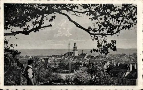 Ak Krosno Odrzańskie Crossen an der Oder Ostbrandenburg, Gesamtansicht