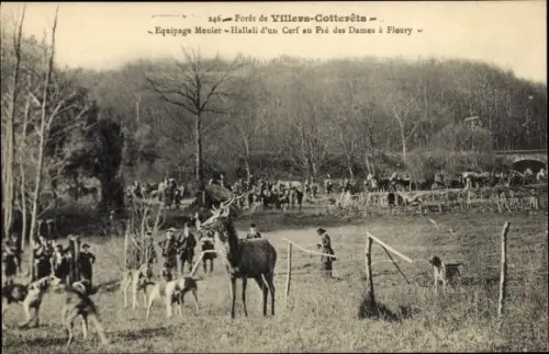 Ak Villers Cotterêts Aisne, Foret, Equipage Menier, Jagd, Hirsch