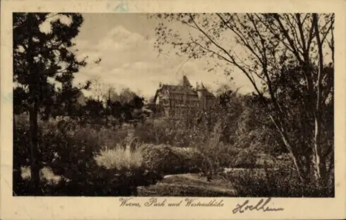 Ak Hochheim Worms am Rhein,  Park und Westendhöhe, Hochheim, Landschaft mit Bäumen