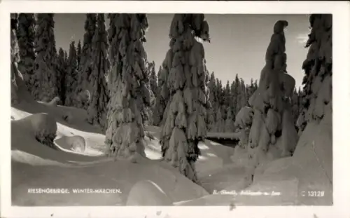 Ak Riesengebirge Region Königgrätz, Bílé Labe, Weiße Elbe, Weißwasser, Weißwassergrund