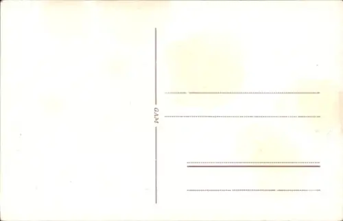 Ak Rab Kroatien, Panorama