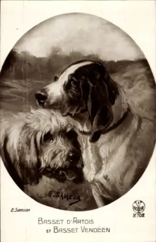 Künstler Ak Samson, Basset d'Artois, Basset Vendéen, Hunde, Tierportrait