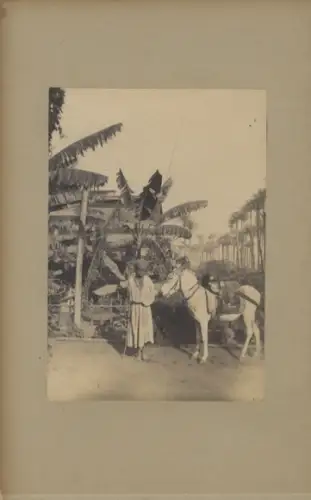 Original-Photographie Italien Taormina um 1890, Umfeld W. v. Gloeden Plüschow Cupri Marziani