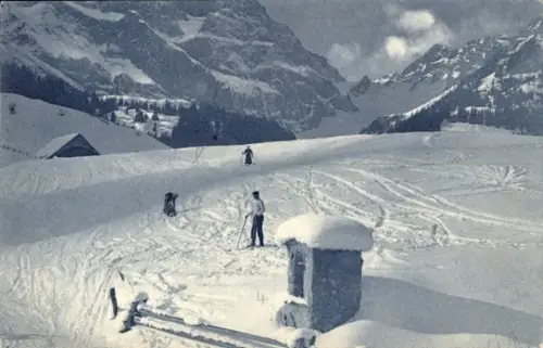 Ak Wintersport, Skilaufen