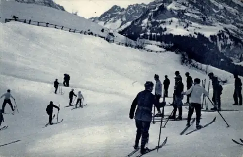 Ak Wintersport, Ski