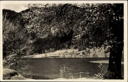 Ak Thumsee Karlstein Bad Reichenhall Oberbayern, Thumsee, Bad Reichenhall, See, Bäume, Landschaft