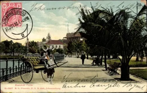 Ak Johannesburg Südafrika, Rikscha Fahrer